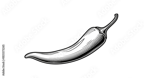 Vintage black and white illustration of a hot chili pepper with intricate line art and classic engraving style on a clean white background.