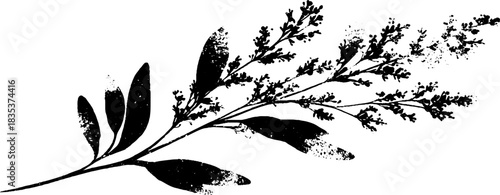 Black and white ornate herbal stencil illustration for nature-inspired designs
