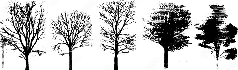 Fototapeta premium Black and white barren winter trees stencil illustration for seasonal design