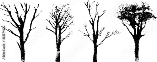 Black and white stencil art of bare winter trees for seasonal decor and design