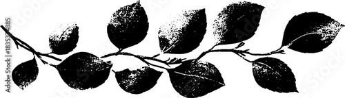 Black and white stencil of braided plant tendril for nature design