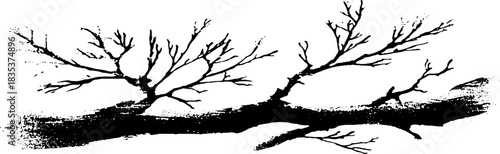 Black and white stencil illustration of bare tree branches for nature-inspired design projects