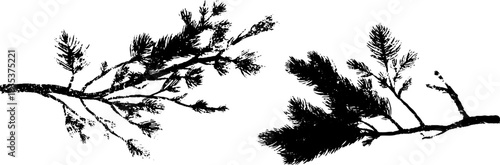 Black and white pine branch stencil illustration for nature design