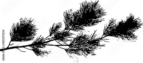 Grunge-inspired black and white stencil illustration of broken pine branches for creative design
