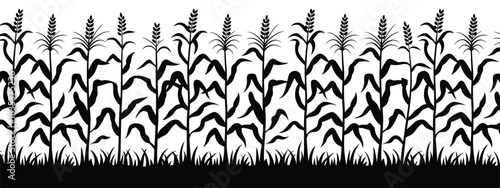 Black Corn Field Silhouette Vector Illustration Showing Maize Plants in Dark Minimal Style for Agricultural Artwork Background, Creative Landscape Design, and Graphic Use