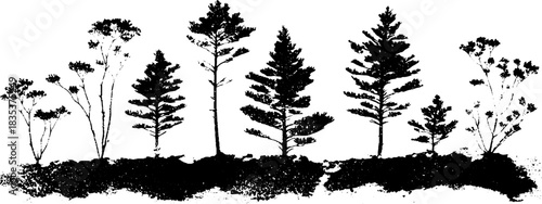 Monochrome stencil art of broken pine branches for nature design