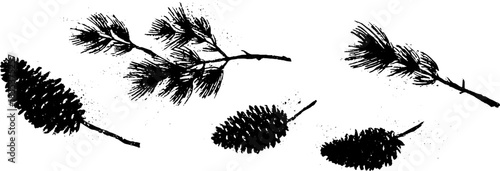 Black and white stencil illustration of broken pine branches for nature-inspired designs