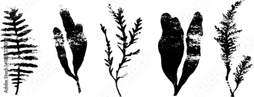 Black and white coastal seaweed stencil illustration for nature-inspired design
