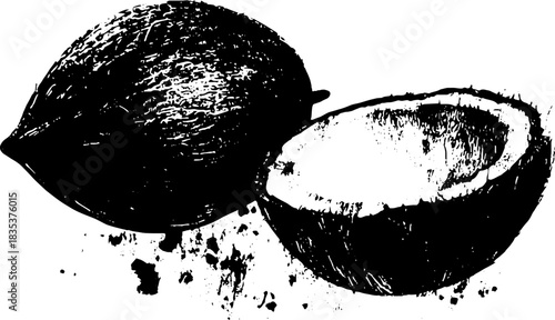 Black and white grunge coconut stencil art for creative design