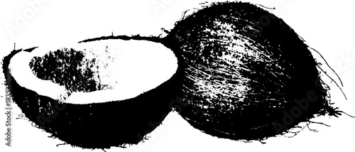 Black and white coconut stencil illustration for design and decoration