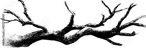 Black and white stencil of collapsed dry branch - nature art illustration for design and decoration
