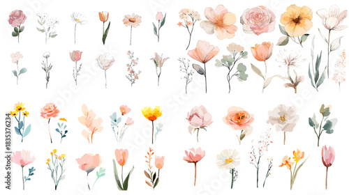 A delicate watercolor set of wildflowers in soft pastel shades with gentle stems and petals, perfect for botanical design, wedding themes, spring artwork, and elegant decorative projects.