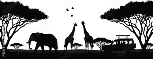 Safari silhouette, African wildlife, giraffes and elephant, safari vehicle, acacia trees, flying birds, cad drawing flat vector illustration