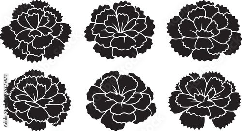 carnation flower silhouettes with intricate ruffled petal details showing beautiful layered botanical design elements