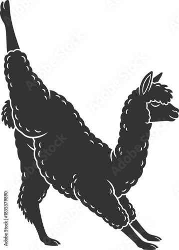 Playful alpaca doing yoga pose silhouette illustration