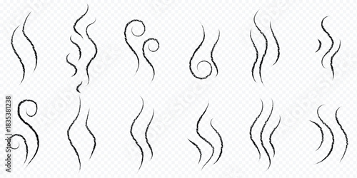 Smoke steam icon set vector hot aroma heat design on transparent background.  Smoke smell, steam aroma heat icon illustration. Hot vapor fire doodle line logo. Hit stink, coffee, fragrance flame heat 