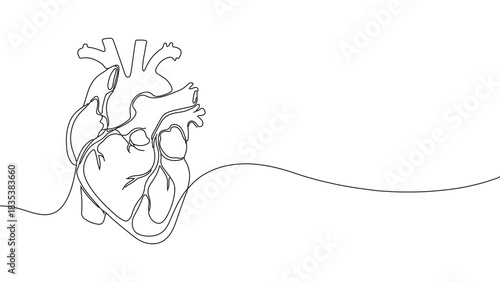 Continuous line art drawing of a human heart with an abstract flow on a white background
