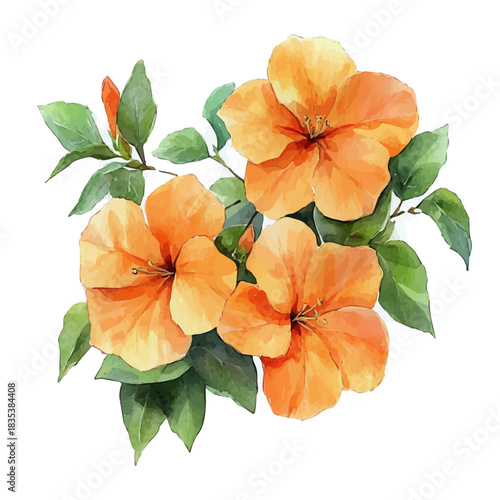 Trumpet Creeper Flower, playful watercolor vector depicting lively antics and expressive gestures, isolated on a white background.