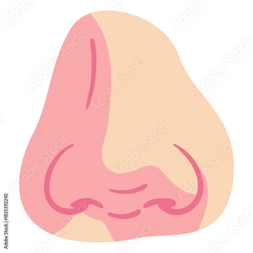 Nose job color stroke