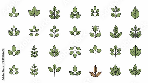 Leaf Varieties Illustration, Plants Collection, Artistic Environment, Detailed Viewpoint