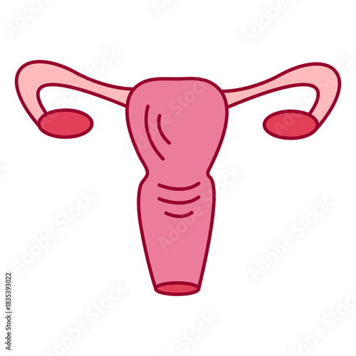 Female reproductive system color stroke