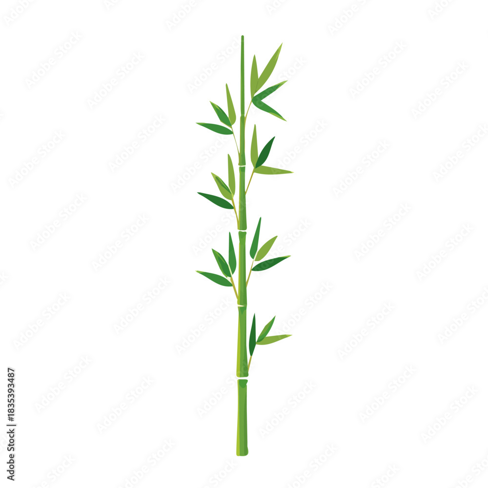 Fototapeta premium Clipart_flat_2D_icon_of_a_bamboo_stalk_isolated_on_a_white, plant set collection