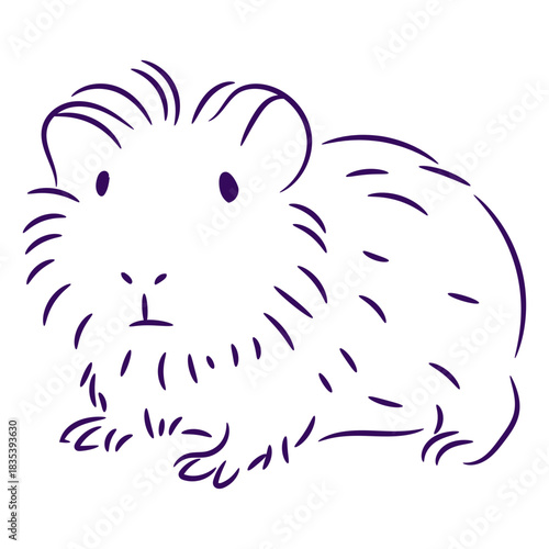 Fluffy guinea pig filled stroke