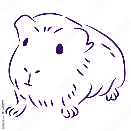 Cute guinea pig filled stroke