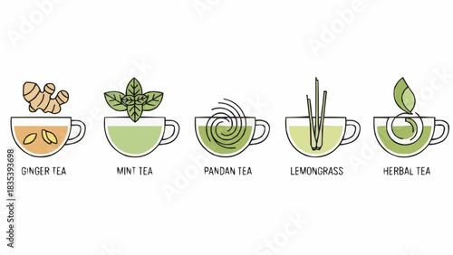 Diverse Collection of Herbal Tea Illustrations Aromatic Ginger, Mint, Pandan, Lemongrass, and Wellness Blends in Clean Line Art Style for Healthy Beverage Concepts