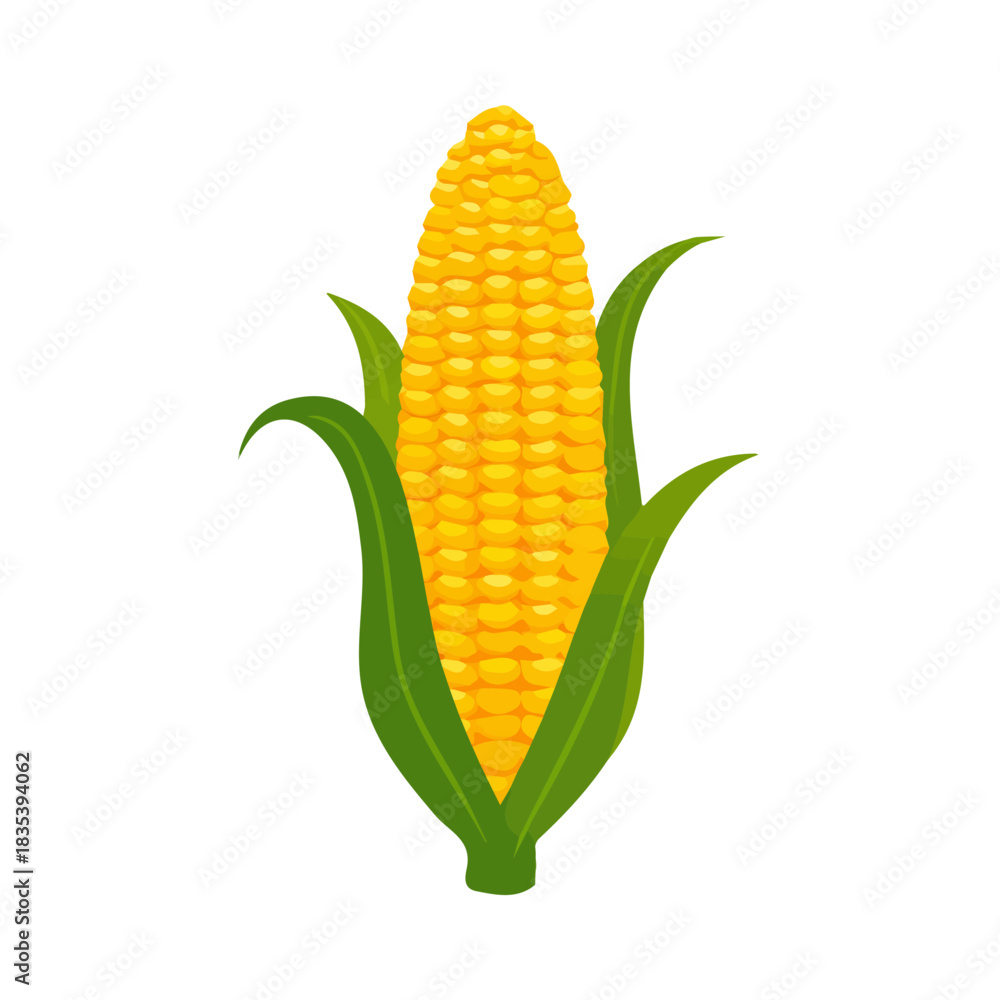 Obraz premium minimalist design, clipart Simple_flat_2D_icon_of_a_corn_cob_isolated_Attractive, Simple illustration with EPS format design