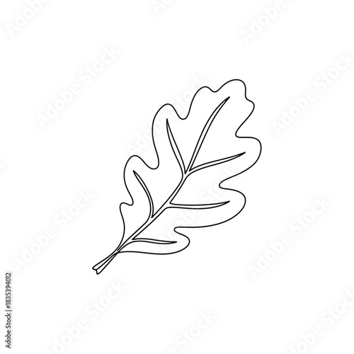 Tulip poplar leaf outline botanical line art illustration vector illusration