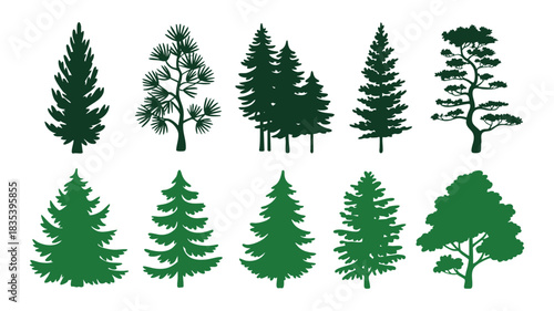 Diverse evergreen pine and spruce tree silhouettes graphic set