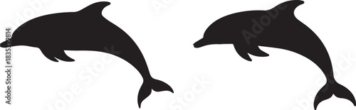 Silhouettes of dolphins, black and white vector, isolated marine mammals, minimal ocean and wildlife illustration, playful or leaping dolphin concept