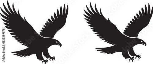 Eagle vector illustration, black and white silhouette, isolated bird of prey, minimal wildlife and nature design, soaring or perched eagle concept