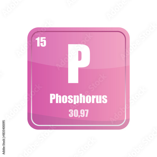 Phosphorus chemical element tile. Atomic number fifteen. P sign Vector icon. Pink magenta square shape.
