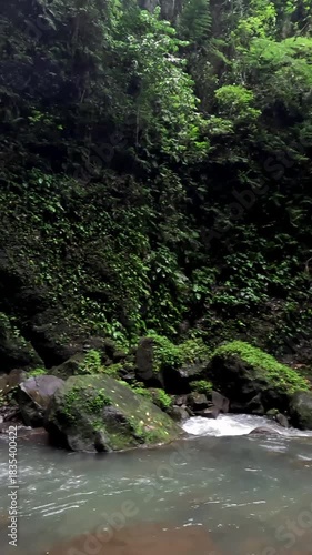 Panning right from a hiker and his pet dog to a majestic Casaroro waterfall, a popular tourist attraction in Valencia, Negros Oriental, Philippines