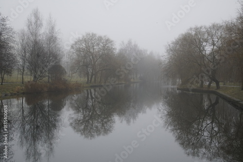 The mysticism of fog. Warm winter in a park by the pond. Trees and reflection.