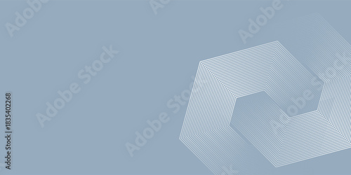 Modern hexagon lines on gray background. Geometric stripe line art illustration abstract