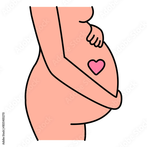 Pregnant woman belly