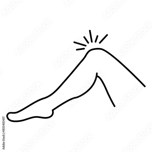 Anatomy contour knee