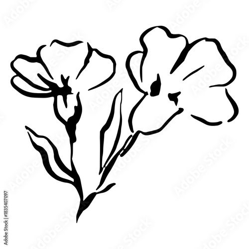Nature delicate flower drawing
