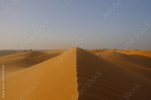 Oman desert sand dunes