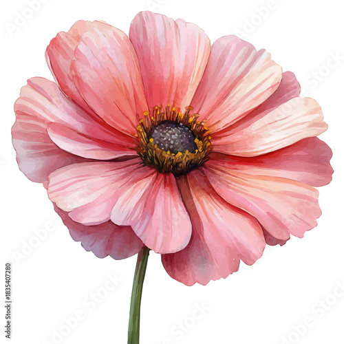 Pink Flower, watercolor artwork with intricate patterns and vibrant, isolated on a white background.