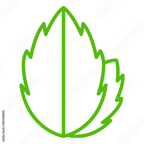 Botanic nature leaves icon