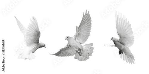 Three white doves in flight, halftone style on white background. Symbol of peace, freedom, and grace.