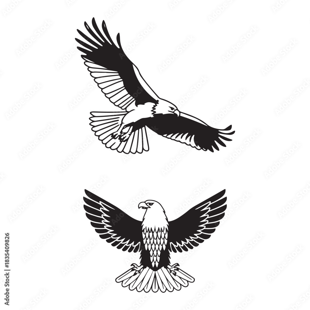 Fototapeta premium Vector illustration of an eagle