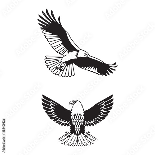 Vector illustration of an eagle
