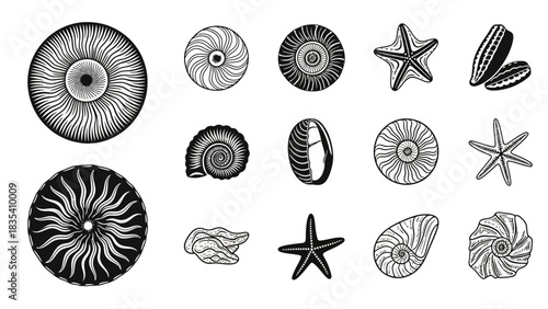 Vector illustration seamless pattern of seashells and starfish, nautical themed illustration for