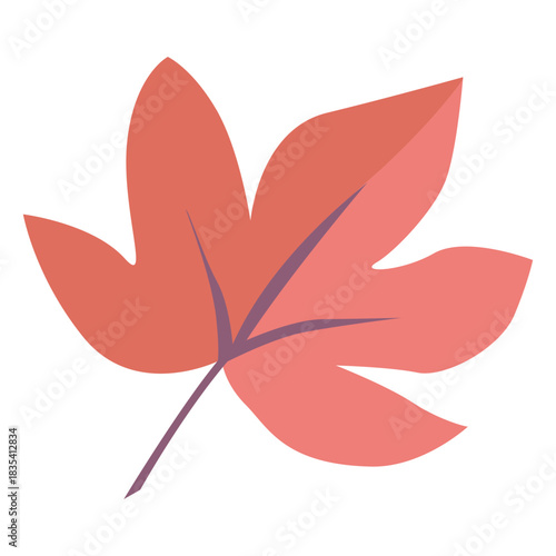 Cute fallen autumn leaf