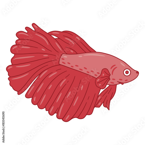 Red betta fish